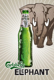 ELEPHANT BEER CASE